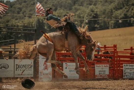 Bull and bronc riding at a rodeo