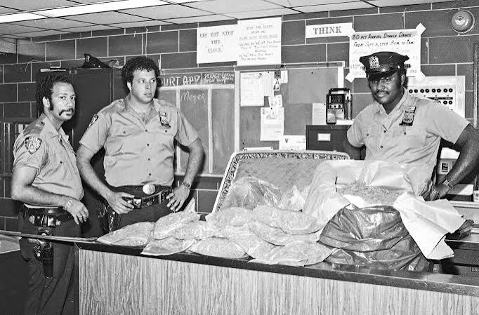 Vintage photo of police officers with marijuana seized during a drug enforcement operation