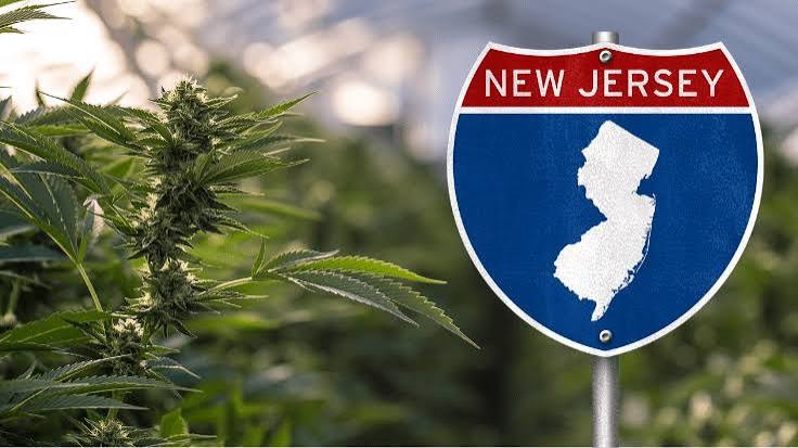 The road to New Jersey cannabis legalization